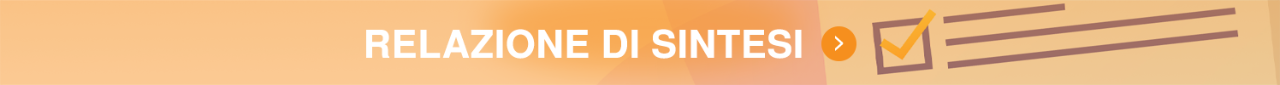 RelazioneSintesi.png