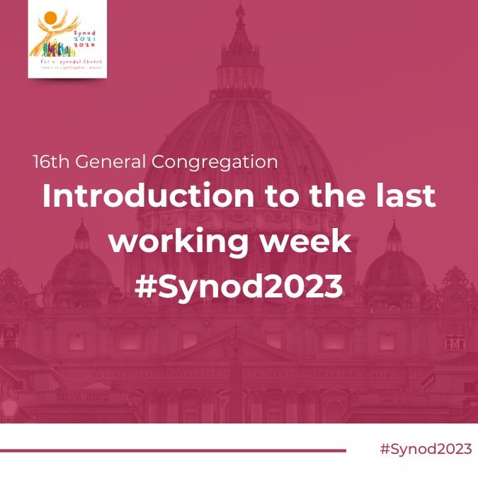 synod-general-graphics-for-translations.jpg