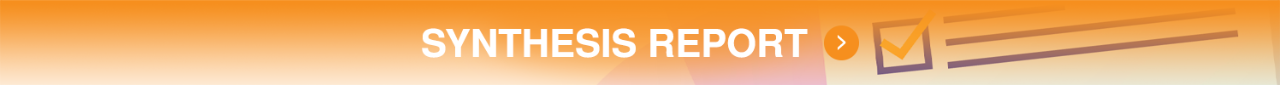 SynthesisReport-copy.png