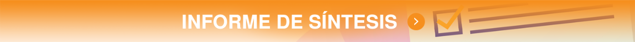 SynthesisReport-es.png