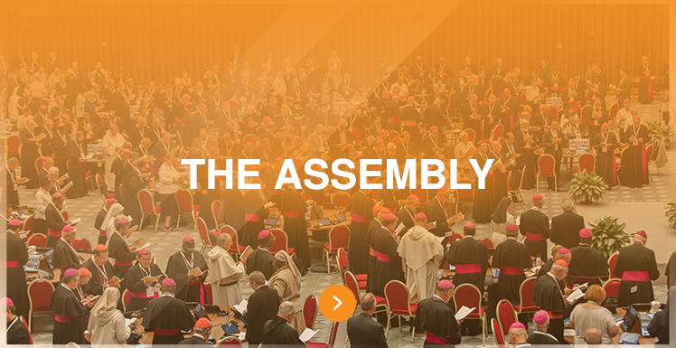 THE-ASSEMBLY-copy.png