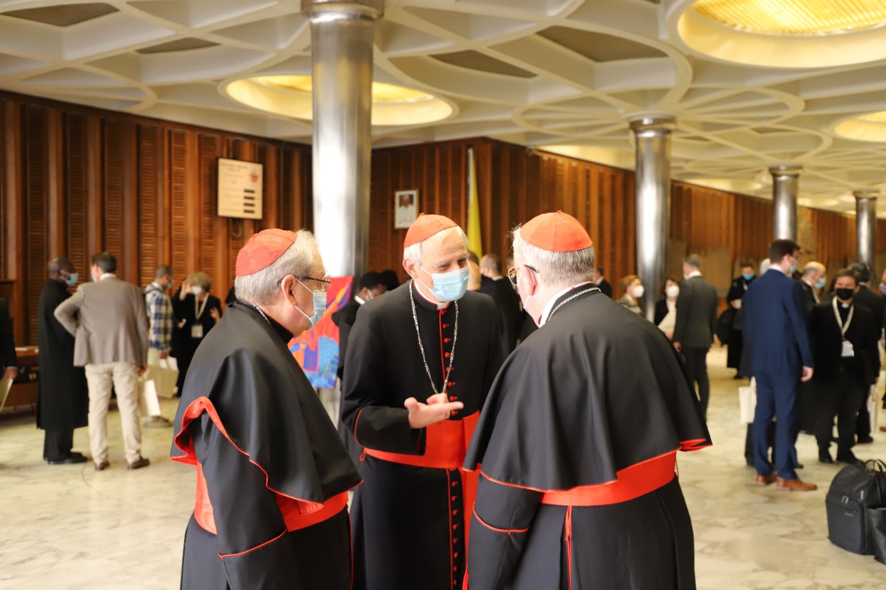 moment-of-reflection-opening-of-the-synodal-path-091021_51578274540_o.jpg