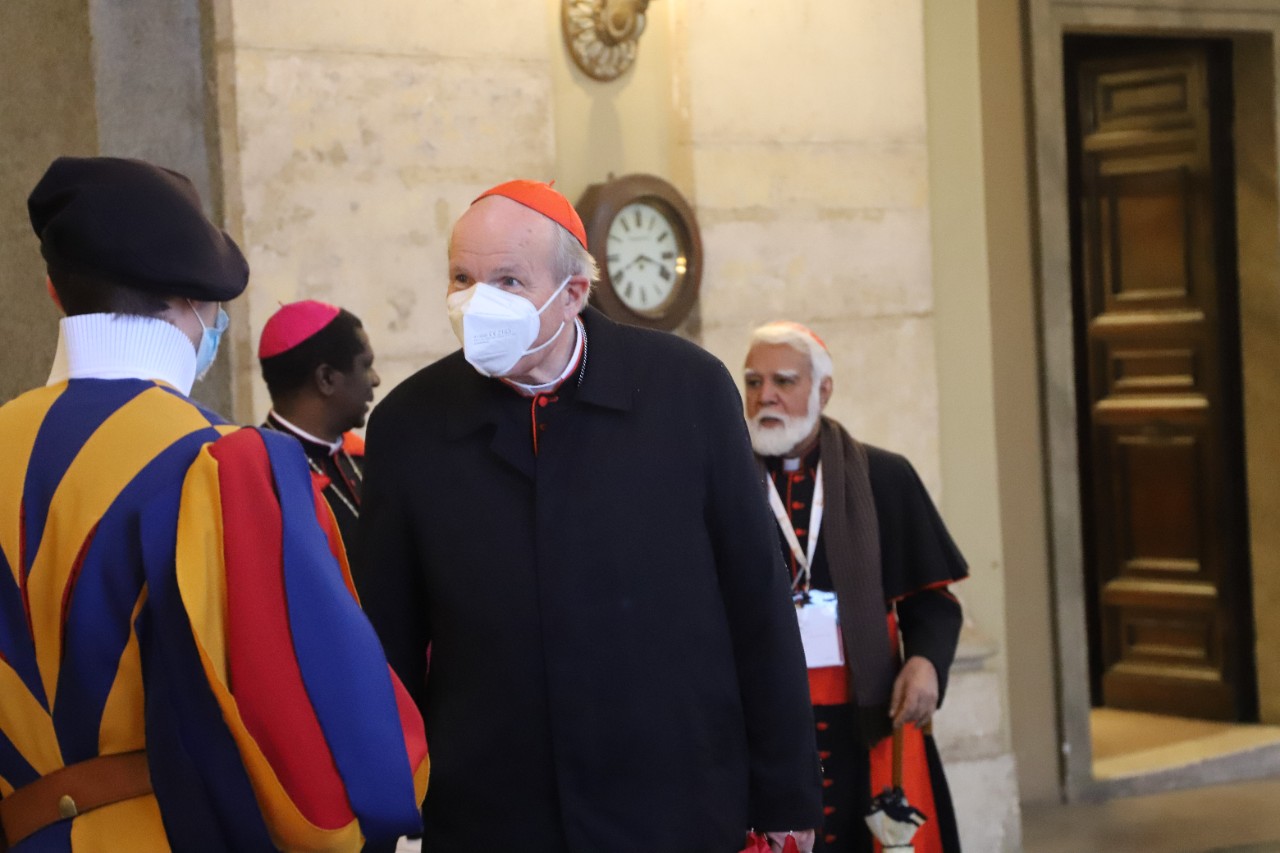 the-council-about-to-meet-pope-francis-111021_51578296445_o.jpg